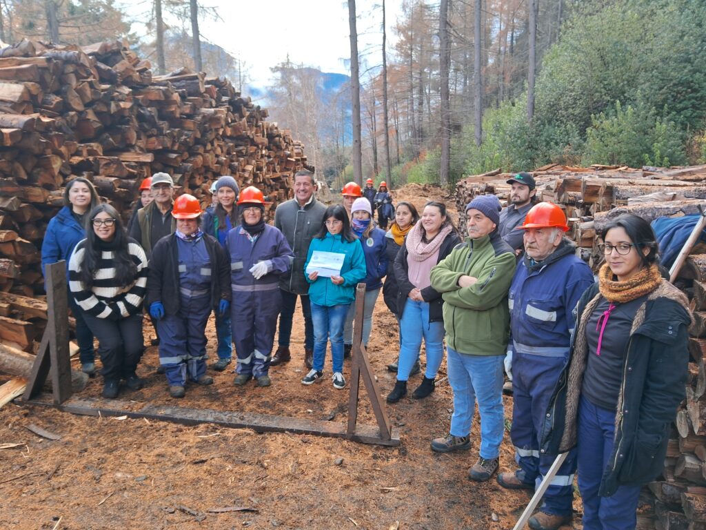 LEÑA COMUNA AYSEN